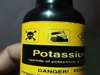 cyanide-and-nembutal-for-a-quick-painless-deatheuthanasia